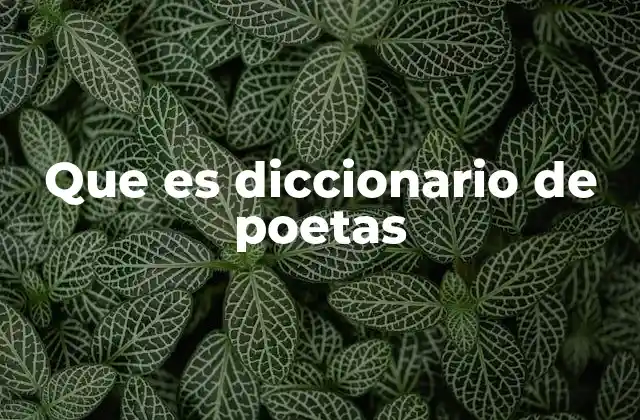 Que es Diccionario de Poetas 2 La importancia de consultar un diccionario de poetas