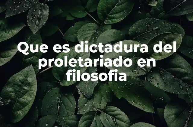 Que es Dictadura Del Proletariado en Filosofia