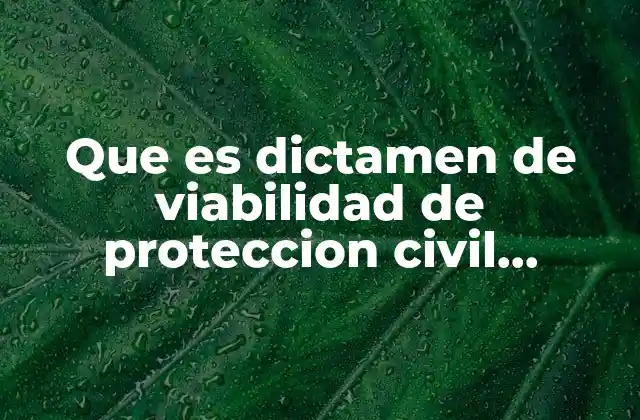 Que es Dictamen de Viabilidad de Proteccion Civil Nezahualcoyotl