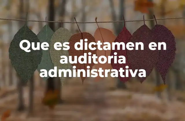 El rol del dictamen en la transparencia gubernamental