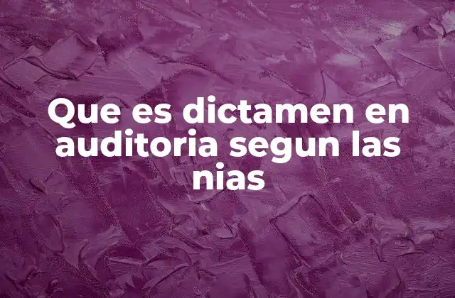 Que es Dictamen en Auditoria Segun las Nias