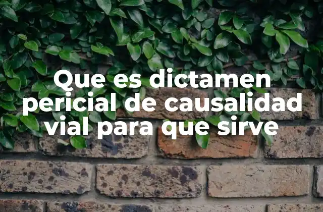 Que es Dictamen Pericial de Causalidad Vial para que Sirve