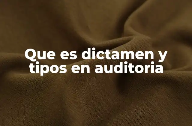 Que es Dictamen y Tipos en Auditoria