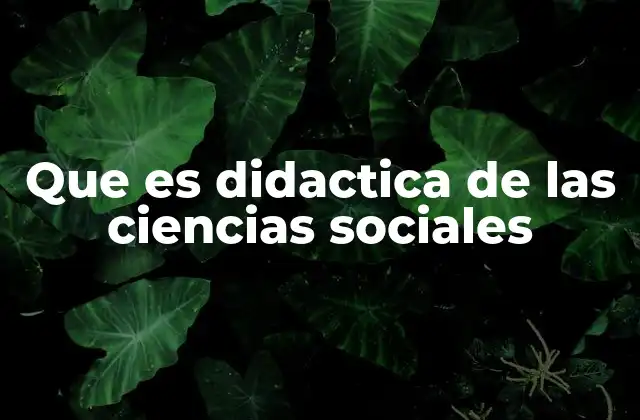 El rol de la didáctica en la comprensión social