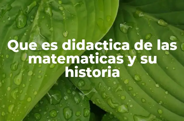Que es Didactica de las Matematicas y Su Historia