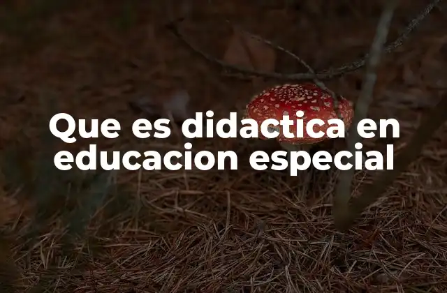 Que es Didactica en Educacion Especial