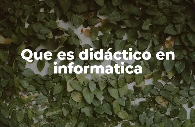 Que es Didáctico en Informatica