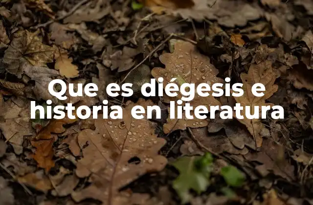 Que es Diégesis e Historia en Literatura 2 La importancia de distinguir entre historia y diégesis