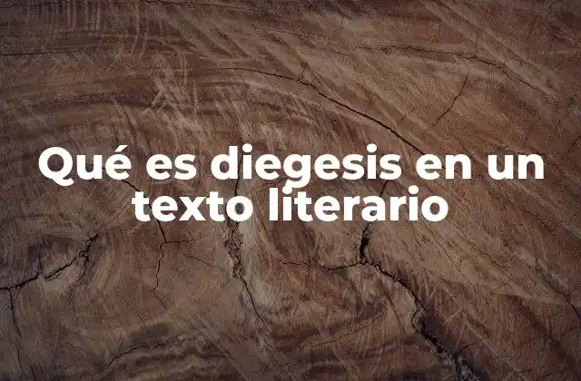 Qué es Diegesis en un Texto Literario