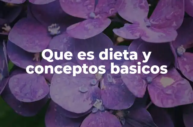 Que es Dieta y Conceptos Basicos