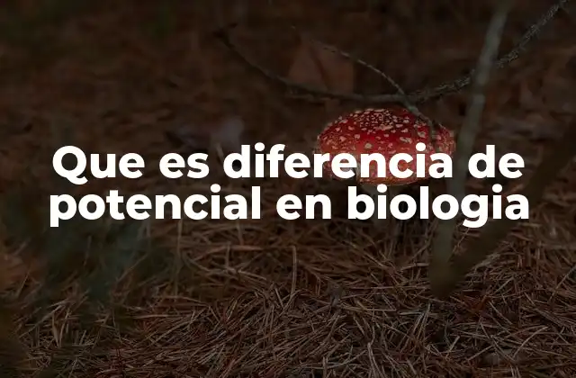Que es Diferencia de Potencial en Biologia
