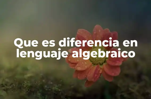 Que es Diferencia en Lenguaje Algebraico