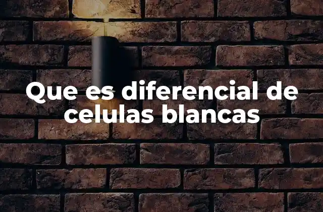 Que es Diferencial de Celulas Blancas 2 La importancia del diferencial en diagnósticos médicos