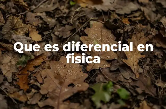 Que es Diferencial en Fisica