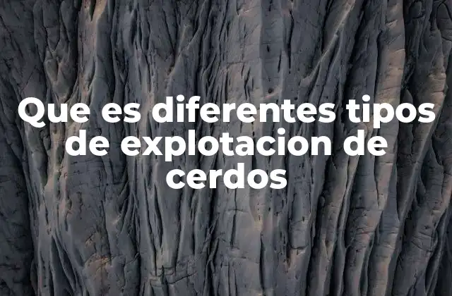 Que es Diferentes Tipos de Explotacion de Cerdos