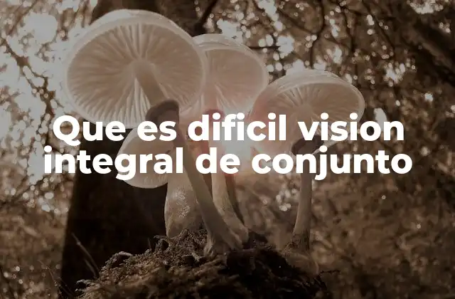 Que es Dificil Vision Integral de Conjunto