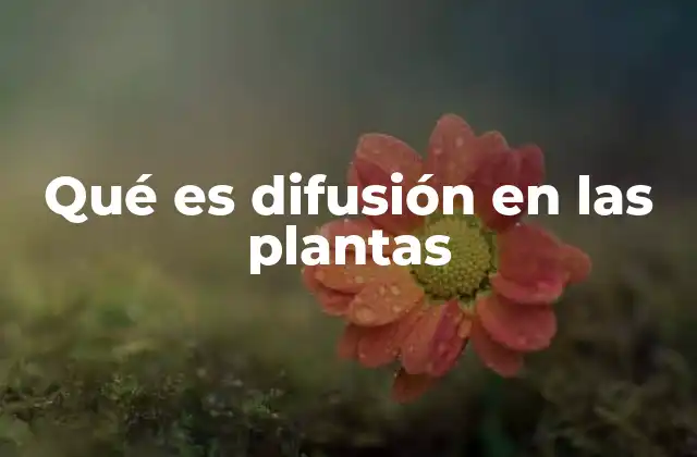 Qué es Difusión en las Plantas