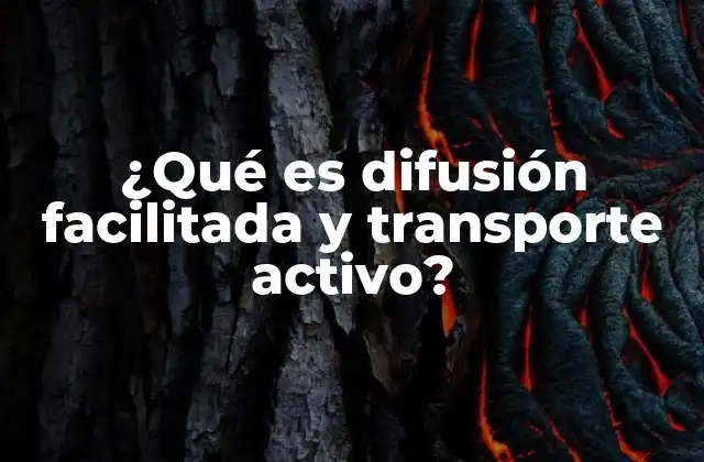 ¿qué es Difusión Facilitada y Transporte Activo?