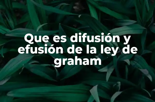 Que es Difusión y Efusión de la Ley de Graham 2 El movimiento molecular y su importancia en la cinética de los gases