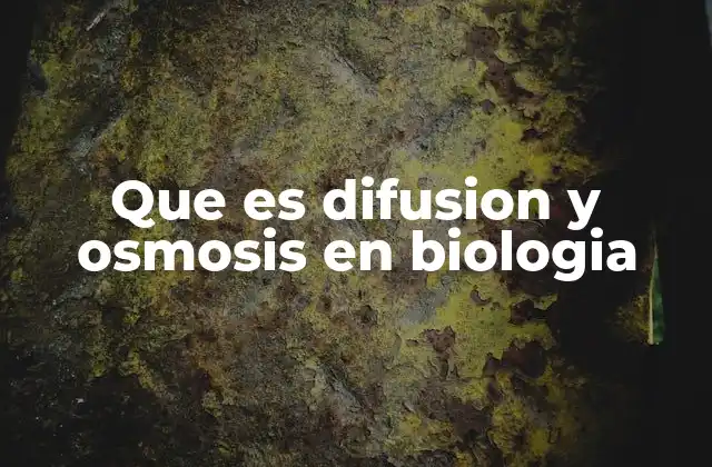 Que es Difusion y Osmosis en Biologia