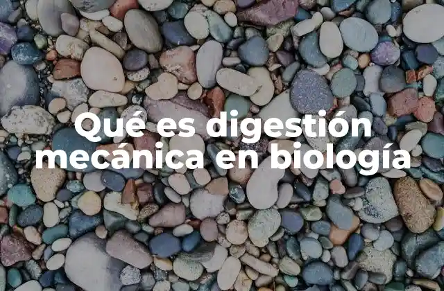 Qué es Digestión Mecánica en Biología