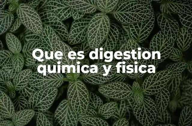 Que es Digestion Quimica y Fisica