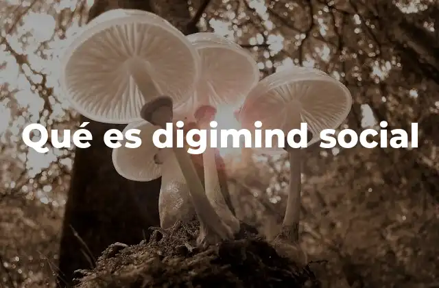 Qué es Digimind Social 2 La importancia de monitorear la presencia digital con herramientas especializadas