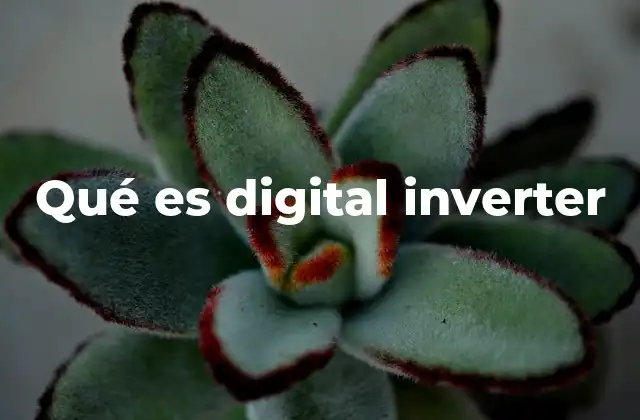 Qué es Digital Inverter