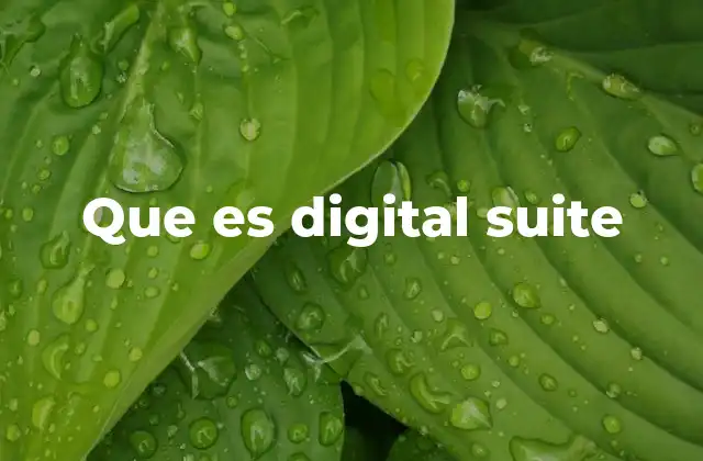Que es Digital Suite