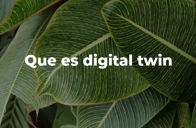 Que es Digital Twin