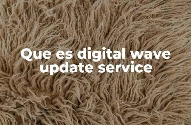 Que es Digital Wave Update Service