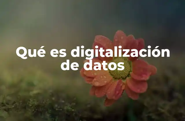 Qué es Digitalización de Datos