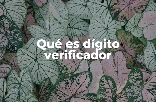 La importancia del dígito verificador en la seguridad de datos