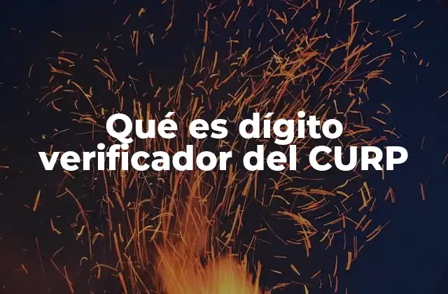 Qué es Dígito Verificador Del Curp