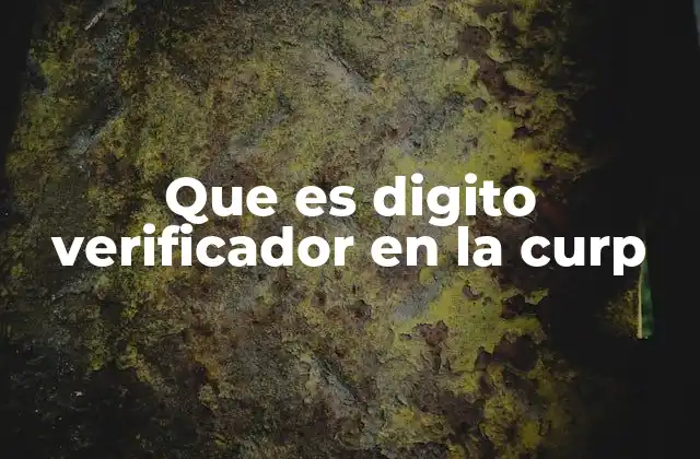 Que es Digito Verificador en la Curp