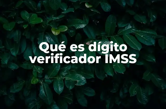 Cómo funciona el sistema de validación del IMSS