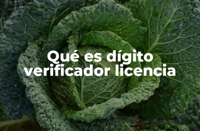 Qué es Dígito Verificador Licencia