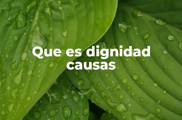 Que es Dignidad Causas