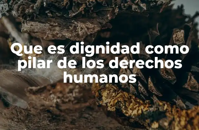 Que es Dignidad como Pilar de los Derechos Humanos