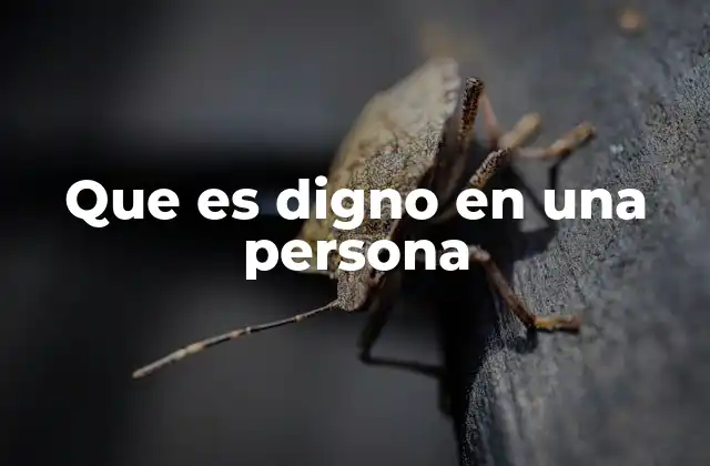 Que es Digno en una Persona