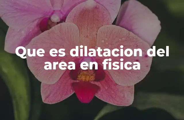 Que es Dilatacion Del Area en Fisica