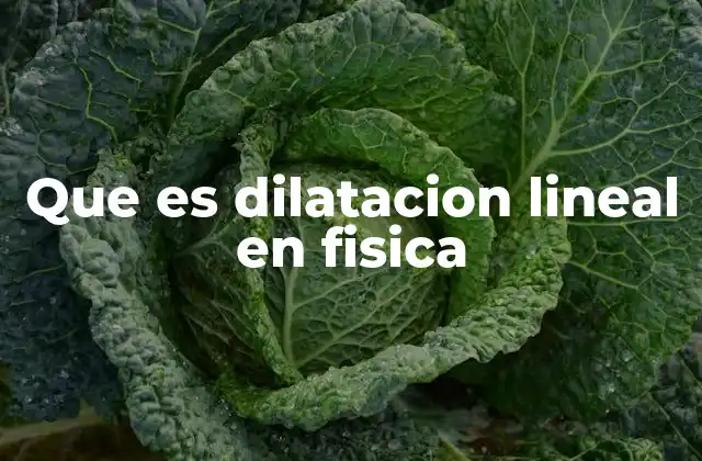 Que es Dilatacion Lineal en Fisica