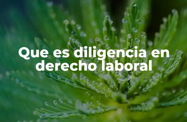 Que es Diligencia en Derecho Laboral