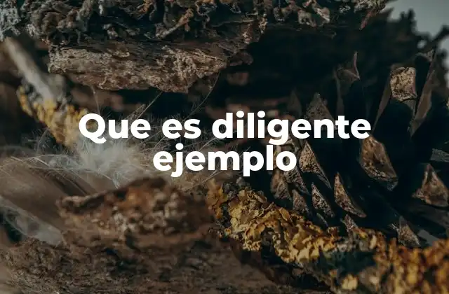 Que es Diligente Ejemplo