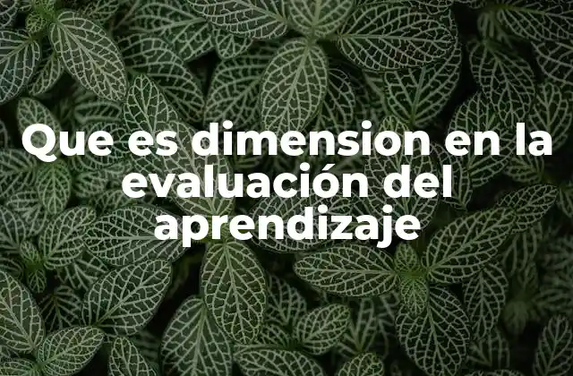 Que es Dimension en la Evaluación Del Aprendizaje