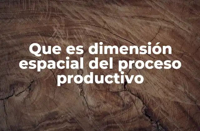 Que es Dimensión Espacial Del Proceso Productivo