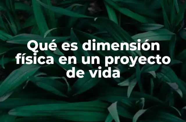 Qué es Dimensión Física en un Proyecto de Vida 2 El papel de la salud corporal en el desarrollo personal