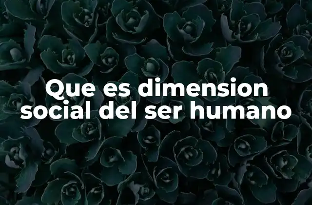 Que es Dimension Social Del Ser Humano