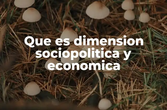 Que es Dimension Sociopolitica y Economica