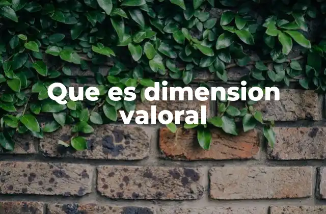 Que es Dimension Valoral